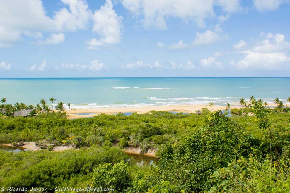 Imagem do alto da linda vegetação e do mar da Praia dos Nativos.